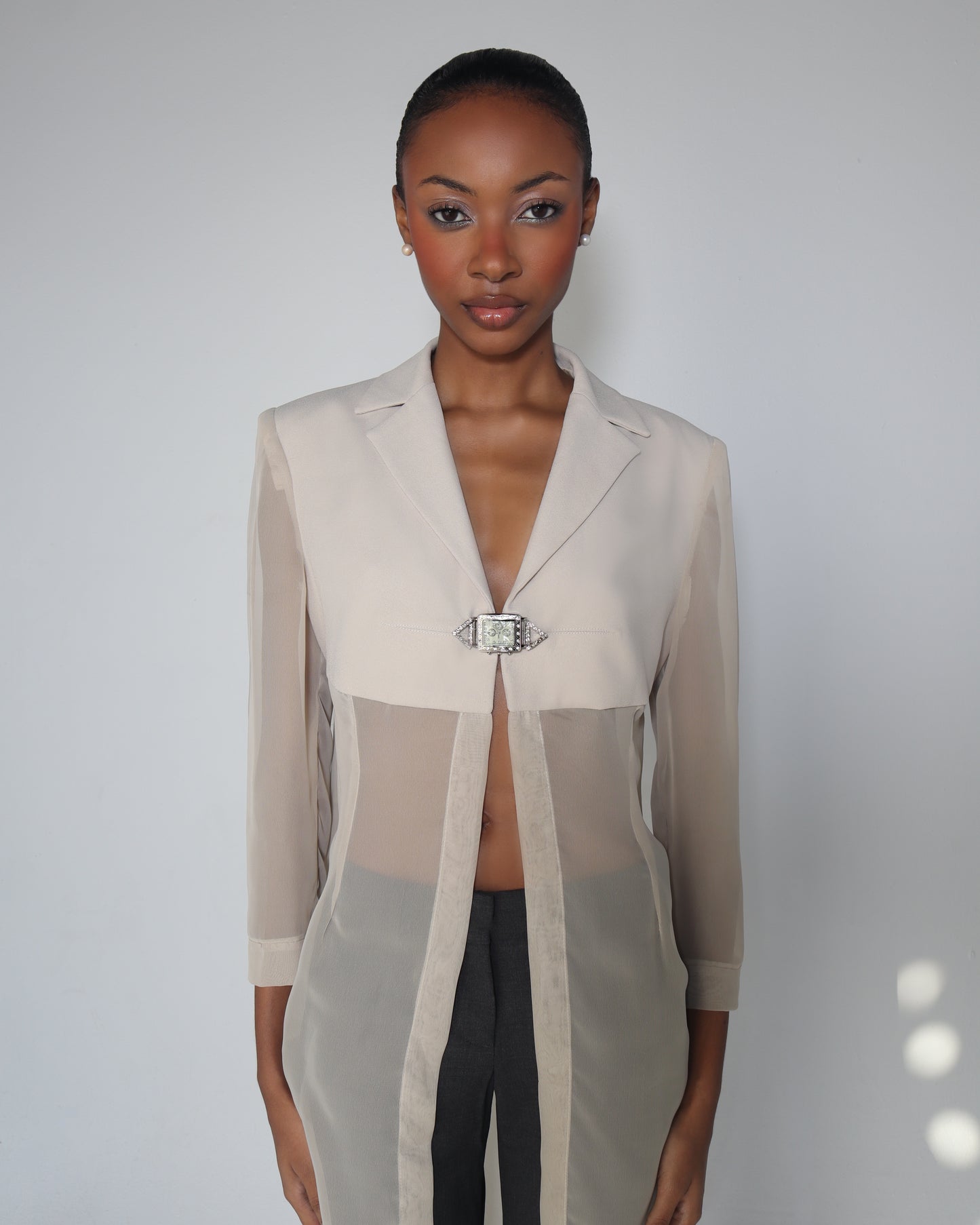 Sheer Blazer Top 1:15